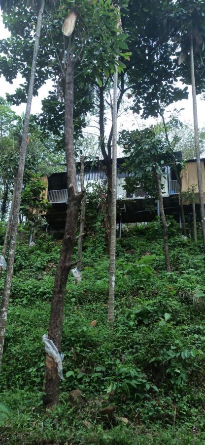The Hillock-Quiet By The Mountains Apartment Vallikavungal Exterior photo